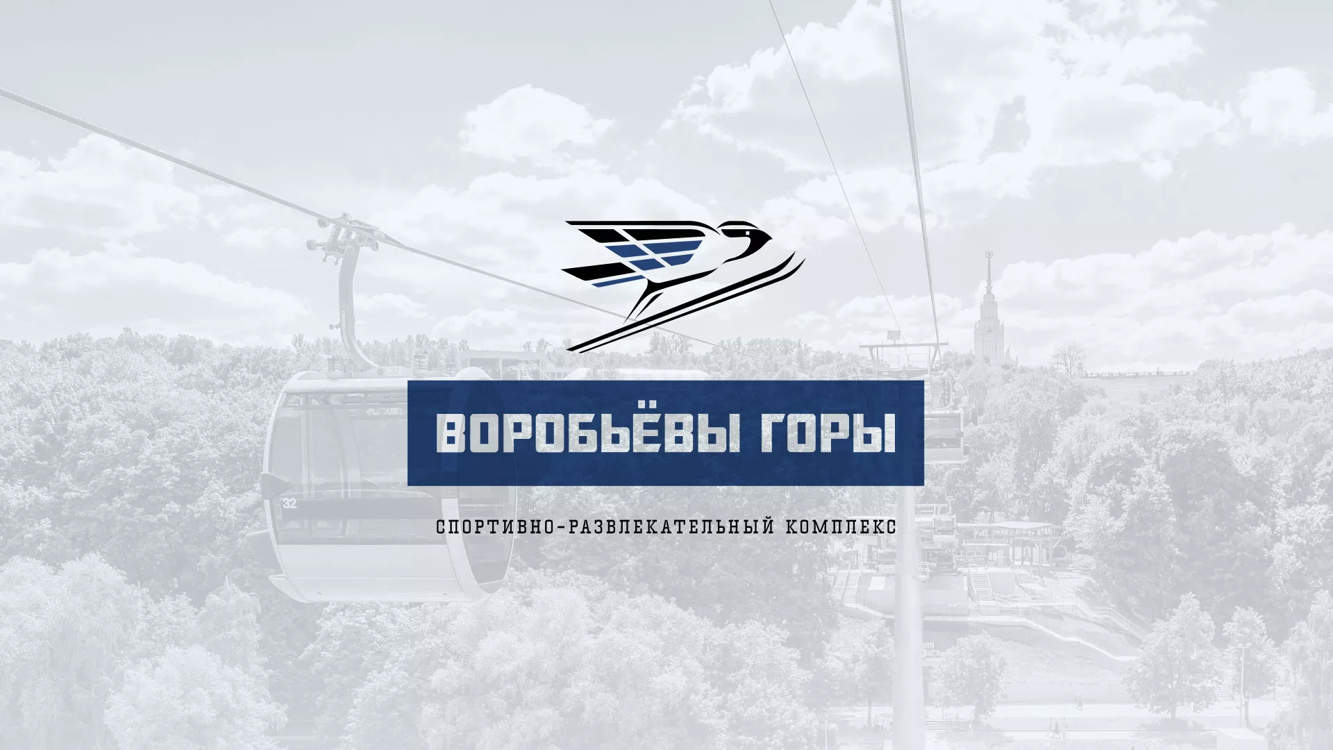 Разработка сайта в Заволжье для спортивно-развлекательного комплекса «Воробьёвы горы»