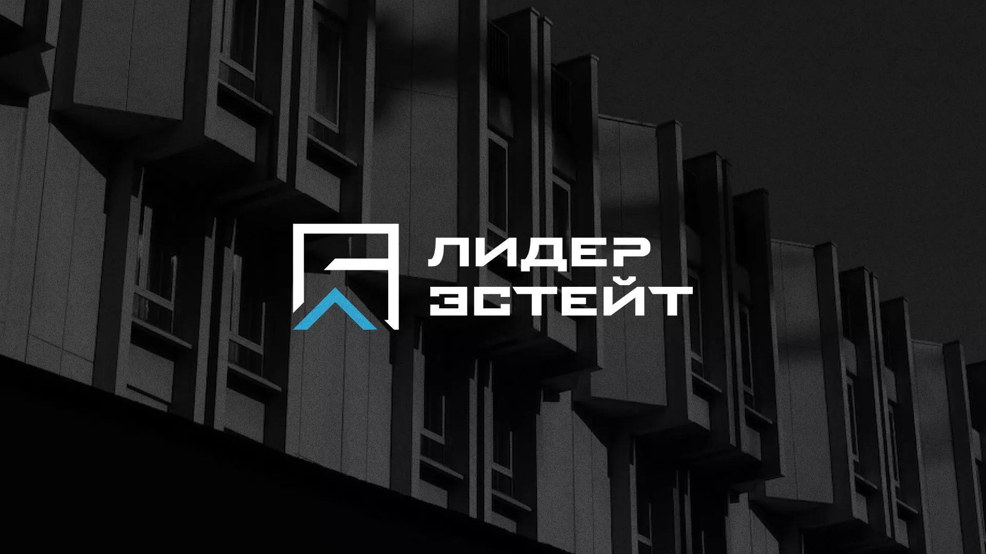 Разработка логотипа агентства недвижимости «Лидер Эстейт» в Заволжье